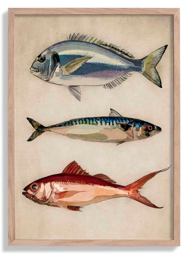 Trio of Ocean Life von Emel Tunaboylu