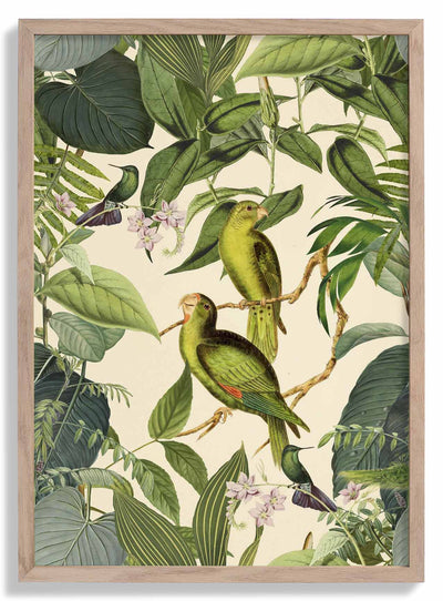 Tropical Parakeet door Andrea Haase