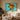 Turquoise Fish by - Kuriosis Fine Art GmbH