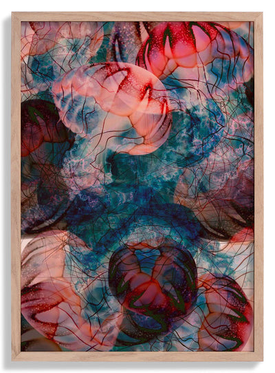 Under the Surface Jellyfish door Julia Charlott