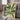 Verdant Tapestry by Treechild - Kuriosis Fine Art GmbH