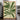 Verdant Tapestry by Treechild - Kuriosis Fine Art GmbH