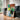 Vibrant Abstract Still Life by Pascal Marlin - Kuriosis Fine Art GmbH