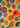 Vibrant Floral Shapes by Sylvie Demers - Kuriosis Fine Art GmbH