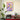 Vibrant Fluid Forms by The Art Concept - Kuriosis Fine Art GmbH