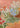 Vibrant Garden Flowers by Rushati Chowdhury - Kuriosis Fine Art GmbH