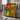 Vibrant Orange And Yellow Flowers by Susan Black - Kuriosis Fine Art GmbH