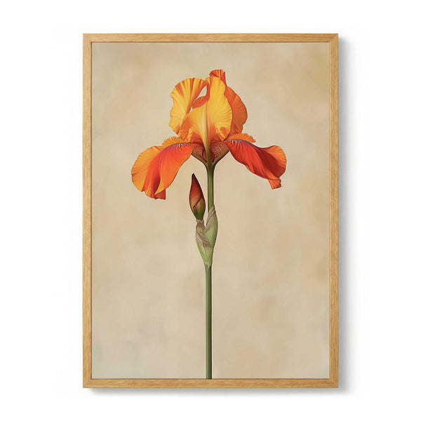 Vibrant Orange Iris par Bilge Paksoylu