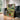 Vibrant Potted Plant Collage by Susan Black - Kuriosis Fine Art GmbH