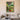 Vibrant Potted Plant Collage by Susan Black - Kuriosis Fine Art GmbH