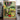 Vibrant Potted Plant Collage by Susan Black - Kuriosis Fine Art GmbH