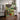 Vibrant Potted Plant Collage by Susan Black - Kuriosis Fine Art GmbH