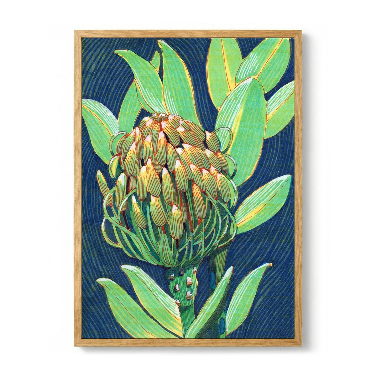 Vibrant Protea Flower by Katie - S - 29.7 x 42cm (A3)