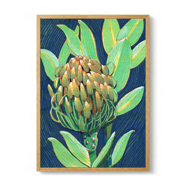 Vibrant Protea Flower by Katie