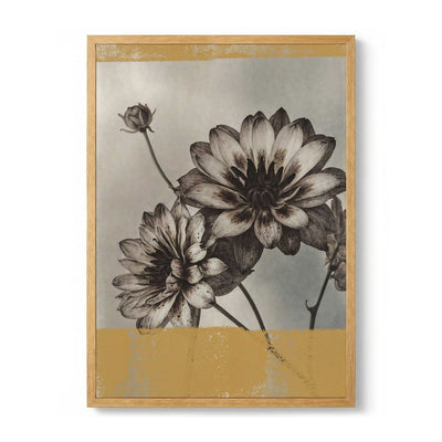 Vintage Dahlia Blooms von The Art Concept