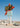 Vintage Desert Motel Sign by Bethany Young - Kuriosis Fine Art GmbH