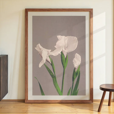 White Irises by Ogawa Kazumasa - Kuriosis Fine Art GmbH