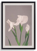 White Irises by Ogawa Kazumasa - Kuriosis Fine Art GmbH