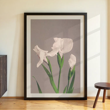 White Irises by Ogawa Kazumasa - Kuriosis Fine Art GmbH