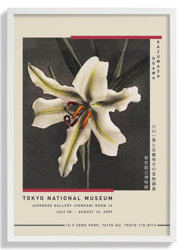 White Lily in the Dark by Kazumasa Exhibition - Kuriosis Fine Art GmbH
