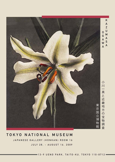 White Lily in the Dark by Kazumasa Exhibition - Kuriosis Fine Art GmbH