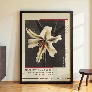 White Lily in the Dark by Kazumasa Exhibition - Kuriosis Fine Art GmbH
