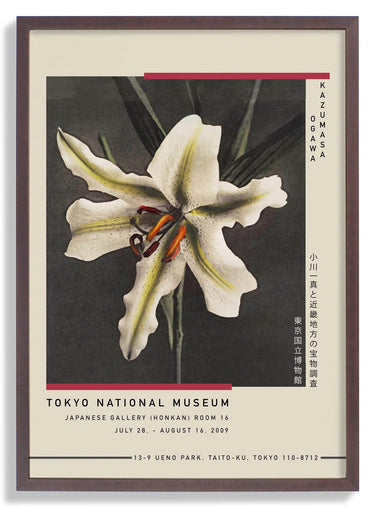 White Lily in the Dark by Kazumasa Exhibition - Kuriosis Fine Art GmbH