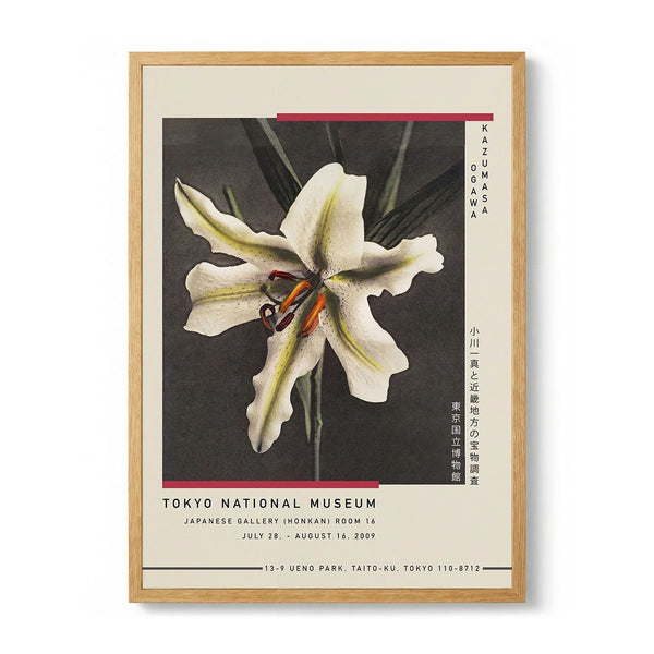 White Lily in the Dark door Kazumasa Exhibition