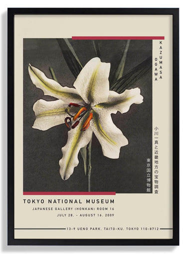 White Lily in the Dark by Kazumasa Exhibition - Kuriosis Fine Art GmbH