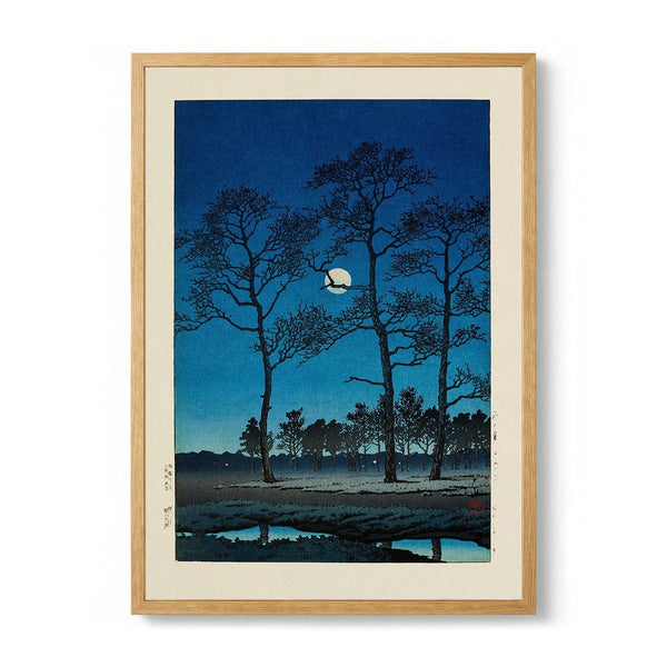 Winter Moon At Toyamagahara di Pictufy