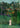 Woman Walking in an Exotic Forest by Rousseau Art Print - Kuriosis Fine Art GmbH