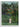 Woman Walking in an Exotic Forest by Rousseau Art Print - Kuriosis Fine Art GmbH