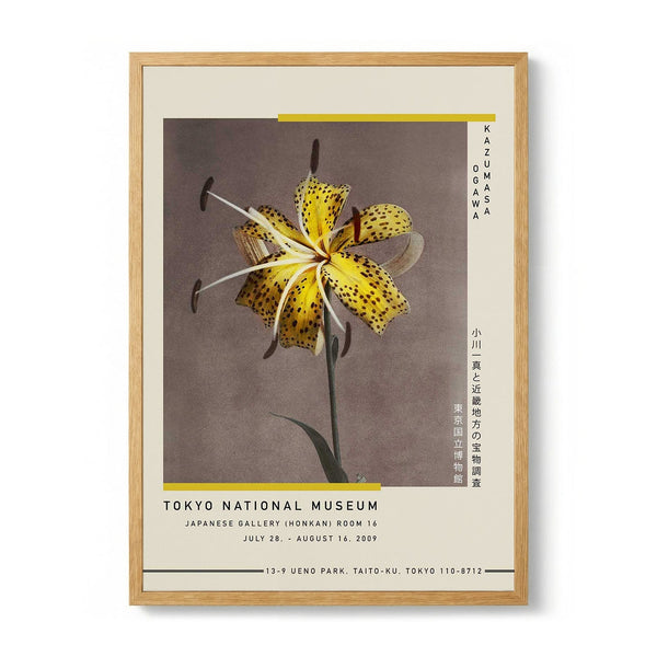 Yellow Lily door Kazumasa Exhibition