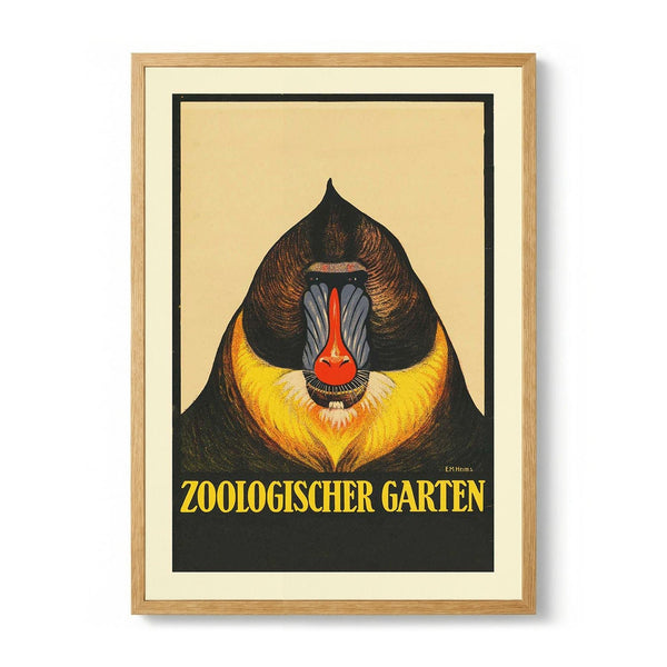 Zoologischer Garten Baboon par Garten