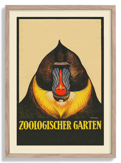 Zoologischer Garten Baboon by Garten