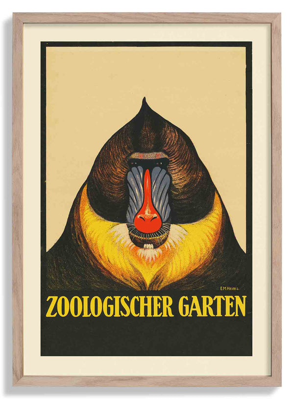 Zoologischer Garten Baboon von Garten