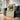 Zoologischer Garten Seals by Garten - Kuriosis Fine Art GmbH