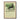 Zoologischer Garten Seals by Garten - Kuriosis Fine Art GmbH