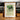 Zoologischer Garten Seals by Garten - Kuriosis Fine Art GmbH