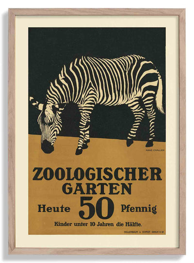 Zoologischer Garten Zebra by Garten
