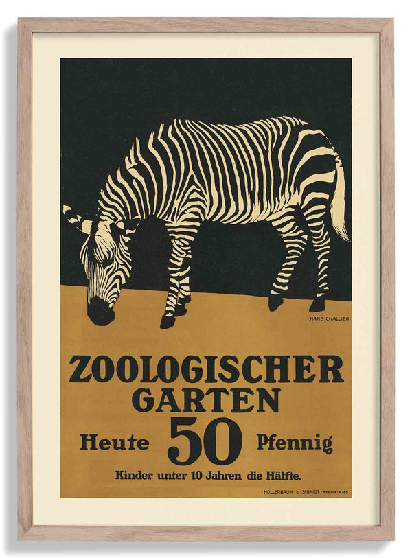 Zoologischer Garten Zebra von Garten