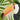 Jungle Toucan Impression d'Art par Andrea Haase