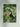 Impressão de arte de tucano da selva por Andrea Haase