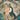 Stampa d'arte del tucano della giungla dell'annata di Andrea Haase