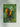 Impressão de arte Tucanos na selva por Andrea Haase