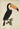 Toucan Sepia Animal Print