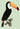 Toucan on Green Animal Print
