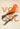 Oiseau orange de Voegel Poster