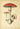 Affiche de champignon Amanita