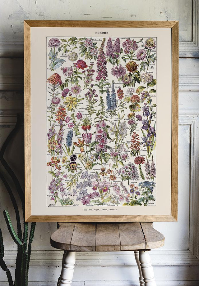 Fleur, the classic Vintage Flowers Chart by Adolphe Millot – Kuriosis